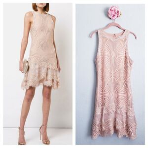 Jonathan Simkhai Nude & Silver Metallic Lace Mini Dress